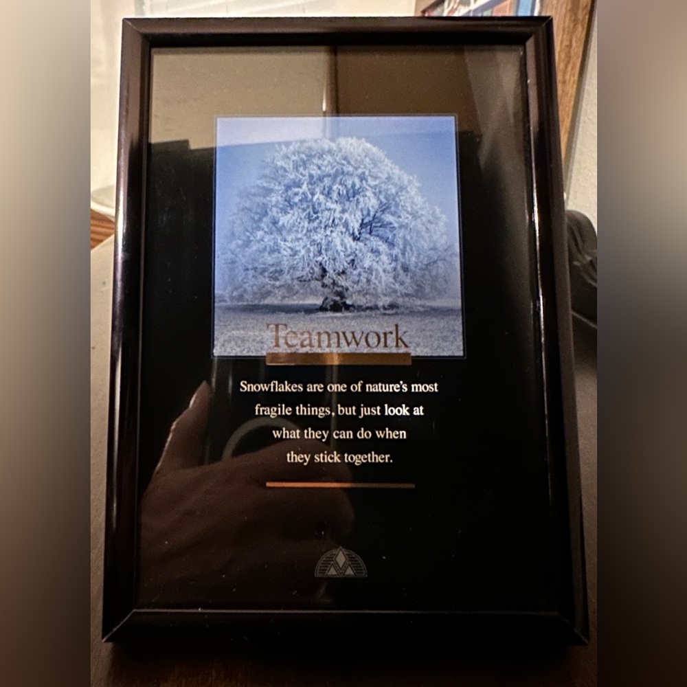 Teamwork Motivational 5x7 Black Framed Art Snow Tree Successories 1994